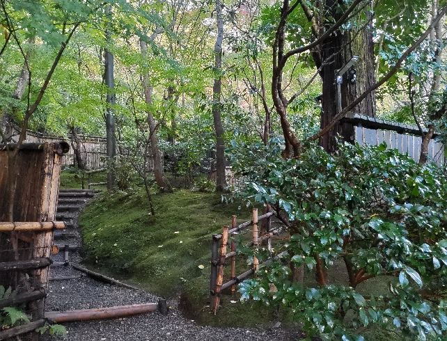 開門前の祇王寺、外から見た苔の美しい庭