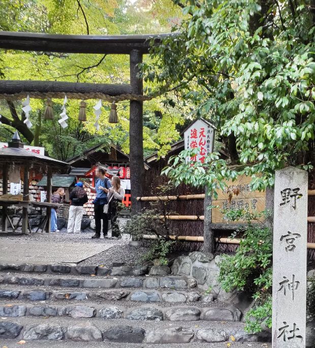 縁結びや良い人間関係にご利益があることで知られている野宮神社