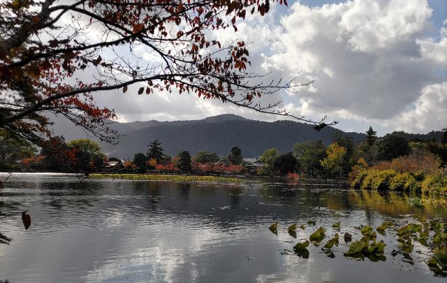 広々とした美しい大沢池と庭園の風景が堪能できる大覚寺
