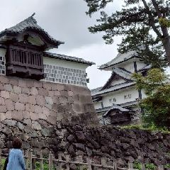 メイプル